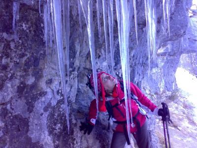 20080213170921-08022008056-blog2.jpg