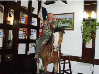 20080405172227-caballomecanico.jpg