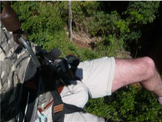 20080405173457-jungla.jpg
