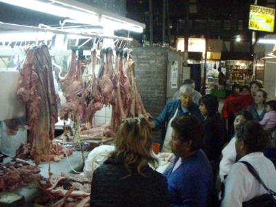 20080427031210-cerebros2-peque.jpg