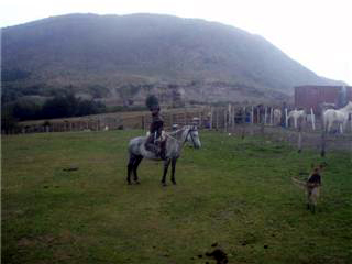 20080428035940-caballorevespeque.jpg