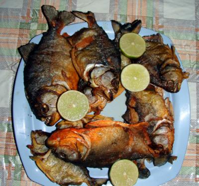 20080430043754-pirana-tresp4082445peque.jpg