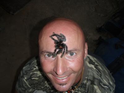 20080504171352-p4102492tarantulapeque.jpg