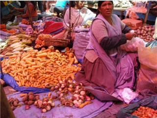 20080504230351-sol3.jpg