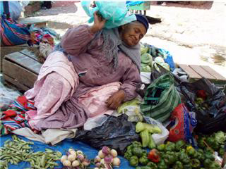 20080504230427-sol4.jpg