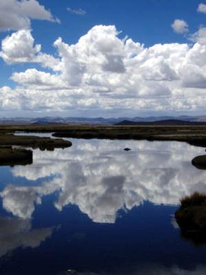 20080506203741-lagunasp4223308.jpg