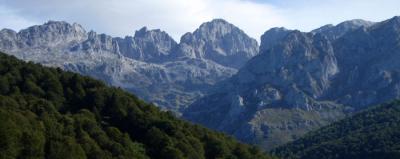20080914002621-blog-vegabano.jpg